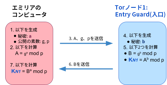 図3. エミリアのコンピュータとTor入口ノード間の鍵共有のための基本的DHEプロトコルのしくみ。なお実際には、ノード認証をともなうECDHE (楕円曲線DHE鍵共有)が使われる