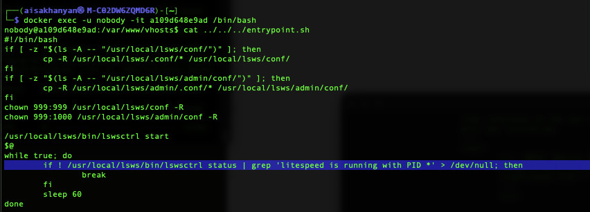 entrypoint.shスクリプトのコードスニペット。rootとして実行され、バイナリgrepを繰り返し実行する