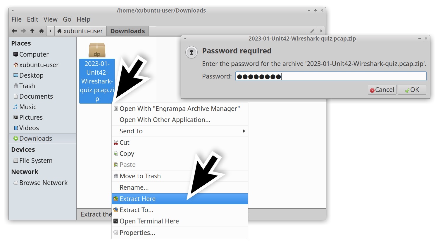 画像3の矢印は、パスワードを入力してパスワード保護されたアーカイブから、pcapをを展開する場所を示しています。 
