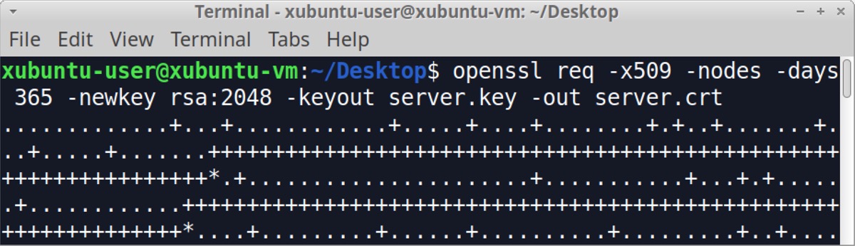 画像13は、XubuntuのターミナルでOpenSSLを使ってWebサーバーのX.509証明書を作成するようすを表しています。