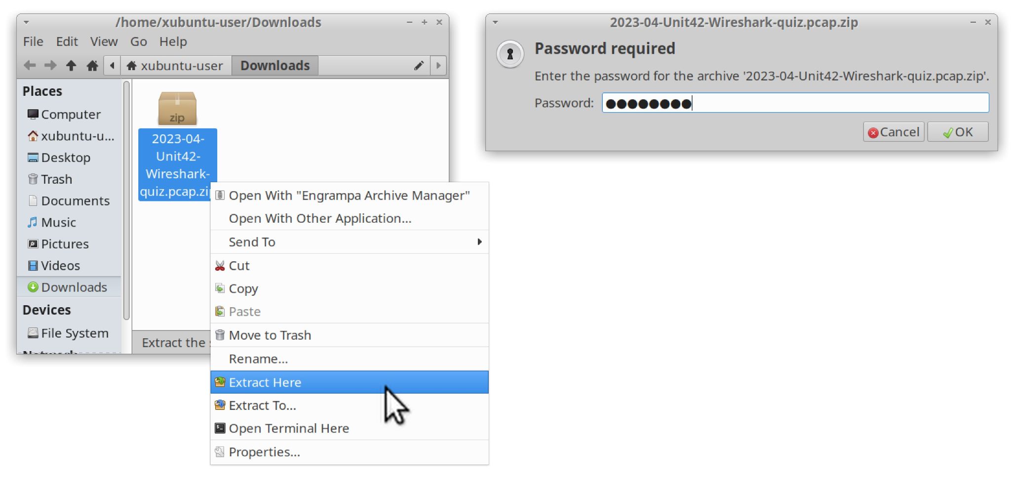 画像3はパスワードの入力方法とダウンロード フォルダーからパスワードで保護されたZIPアーカイブを取り出す方法を示しています。