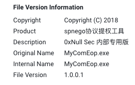 画像18はある亜種のファイル バージョン情報です。これには、Copyright、Product、Description、Original Name、Internal Name、File Version、Comments (漢字で書かれている)、File Versionが含まれます。英語と漢字が混在しています。