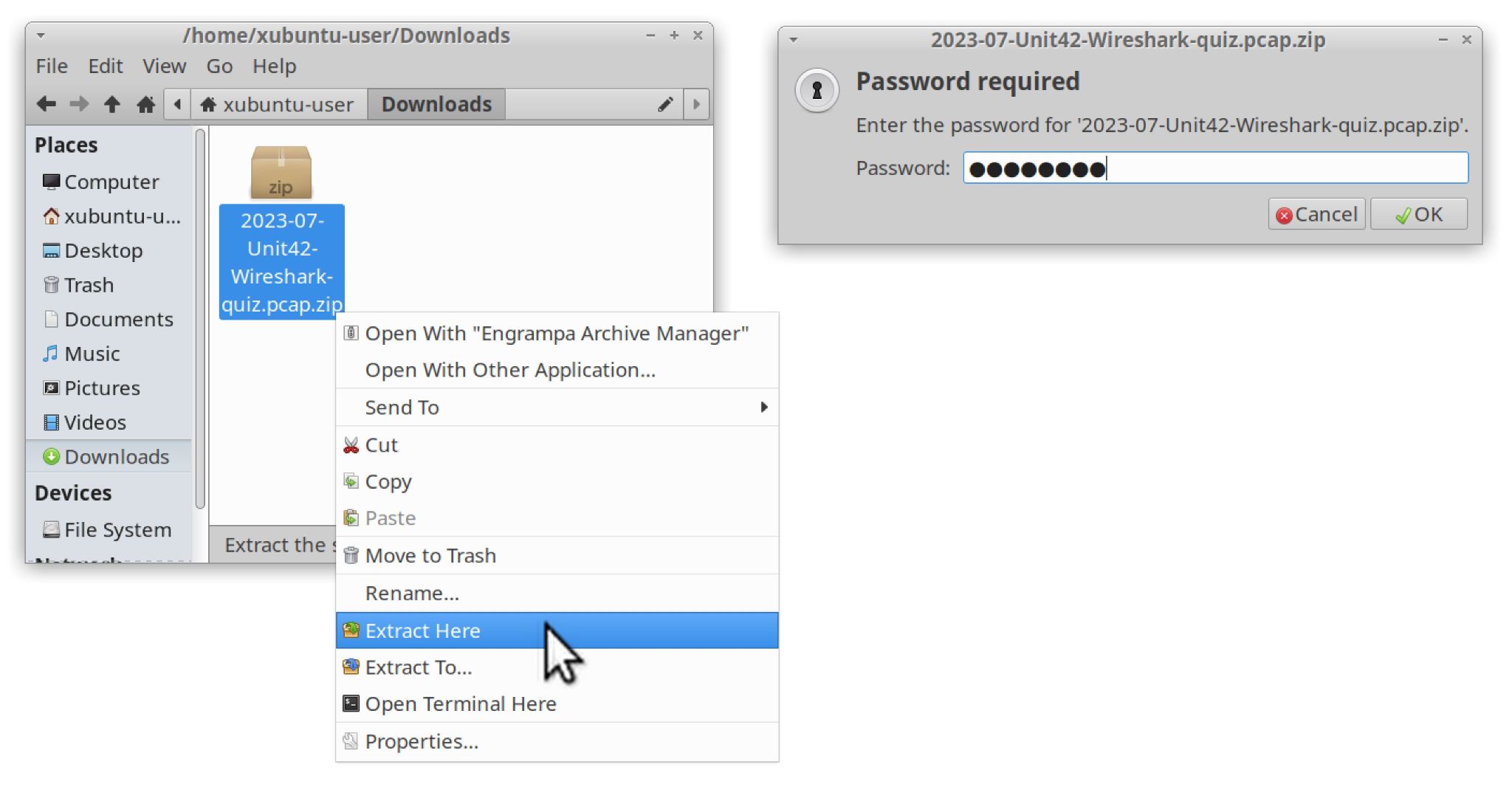 画像 3 は、zip ファイルの内容を zip から展開する方法を示したスクリーンショットです。このダウンロード ウィンドウでは、[Extract Here (ここに展開)] を選択して、[Password required (パスワードが必要です)] ウィンドウにパスワードを入力しています。 