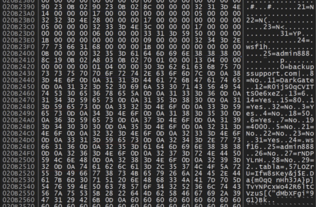 この画面は 16 進数値と散在する ASCII 文字で埋まっています。